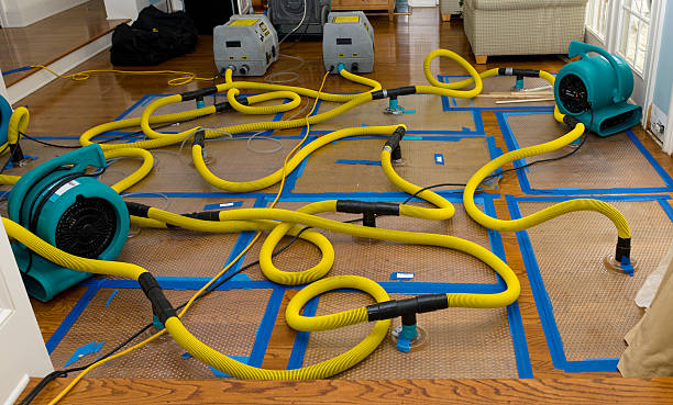 Professional Basement Flood Cleanup technician working in Tucson, AZ